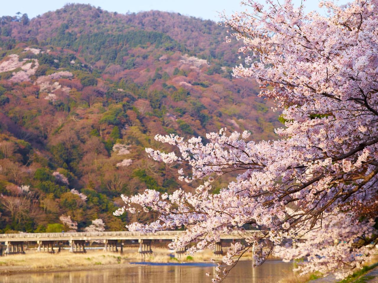 L'Hotel De Hiei Kyoto Eksteriør bilde